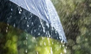 2025年自动雨伞行业市场供需调查与投资潜力