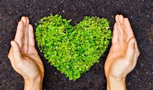 生物质能源、生物质资源回收利用专项研究报告（2025年版）