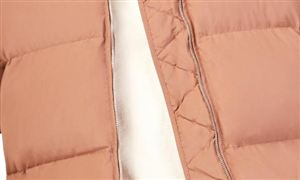 女装产业现状与未来发展趋势分析(2025年)