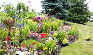 2025年中国园林机械行业：智能化与绿色化双轮驱动下的千亿赛道