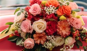 2025年中国婚车租赁行业发展现状分析与投资前景预测