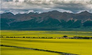 生态修复行业“十五五”蓝图：政策引领、市场重构与投资机遇