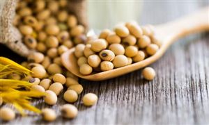 行业经济_中研普华行业研究网(图10)