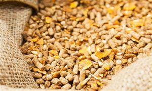 行业经济_中研普华行业研究网(图6)