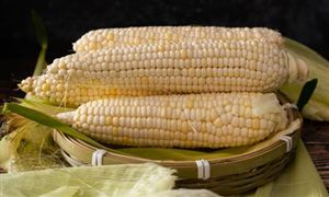 2026年全球农产品行业总体规模、主要企业国内外市场占有率及排名