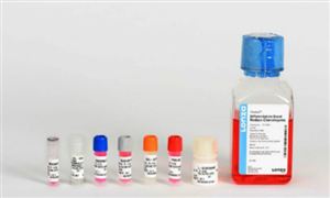 2020间充质干细胞培养基行业发展现状及市场投资前景分析