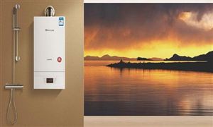 壁挂炉市场投资前景如何？2020年壁挂炉市场供需格局研究