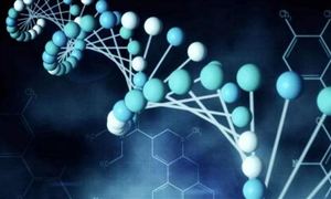 2020年中国组织工程行业市场深度分析 组织工程行业投资战略咨询研究