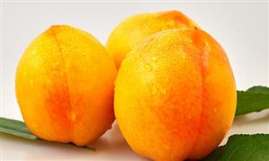 网红体质的炎陵黄桃再次出圈 2021-2026年黄桃行业风险投资态势及投融资策略指引