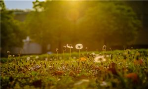 遭遇校园欺凌后 她把经历做成桌游 校园安防市场需求分析