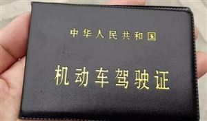 中法驾驶证互认换领协议正式生效 新办驾校行业发展现状分析