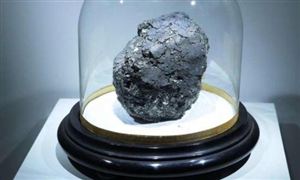 兴业银行落地全国首单湿地碳汇贷 全球碳金融市场每年交易规模超过600亿美元