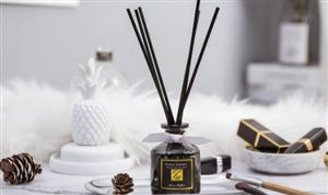 2021-2025年中国香薰市场深度调查研究报告