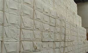 中国浆纸行业现状及发展趋势分析