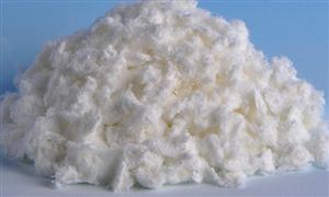 2021化纤浆粕制造行业发展前景及现状 化纤浆粕制造市场调研报告