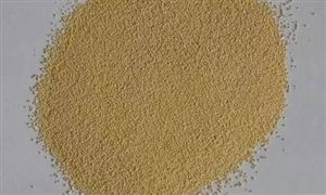 中国颗粒剂行业现状及发展前景分析