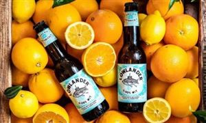 2021非酒精饮料行业市场深度分析与非酒精饮料行业竞争形势探究