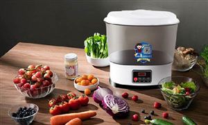 2021年果蔬净化机行业市场发展现状分析