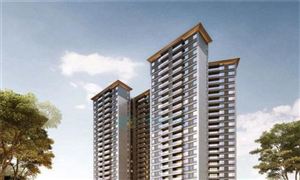 高端住宅的几点特点和标准是什么 2021高端住宅市场分析