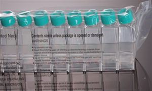 中国生物耗材行业现状及发展前景分析