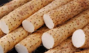 山药行业市场调研 山药行业发展前景及市场需求分析