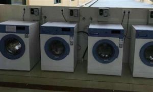 节能化的要求提升 大家电逐渐变频升级 节能洗衣机行业市场发展现状分析