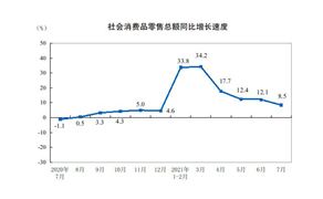 跨境电商系统行业发展调研 跨境电商系统市场前瞻及未来投资战略分析