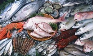 2021冷冻海产品行业发展现状及前景分析