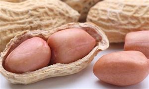 我国花生规模居世界之首 花生制品行业发展趋势预测