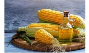 我国玉米油人均消费量如何 玉米油市场调研及前景分析