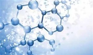 氨基酸功能性食品市场前景被看好 功能食品需求市场调研