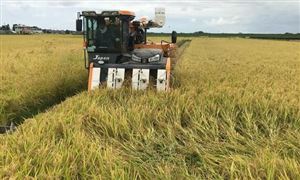 农业机械化的重要性 农业机械化发展的趋势分析