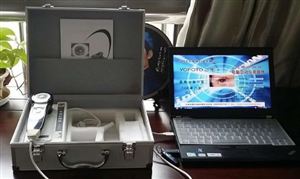 虹膜识别技术正处于快速发展阶段 虹膜检测仪行业市场发展现状分析