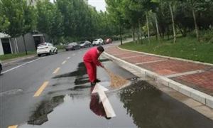 环境卫生管理市场调研报告 2021环境卫生管理行业现状及前景