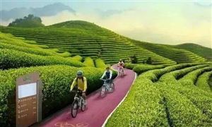 中国林场协会:国有林场发展森林康养前景广阔 探讨康养产业发展的路径