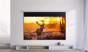 智能投影市场行情分析报告 2021智能投影行业前景及现状