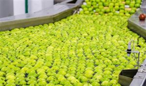 水果加工行业现状分析以及行业前景分析