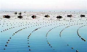 2021海洋信息化行业发展现状及前景分析