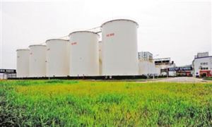 粮油行业怎么做新零售 中国粮油零售行业分析