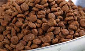 中国猫饲粮行业现状及发展前景分析