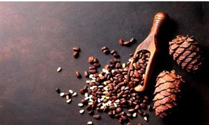 中国松子行业现状及发展前景分析