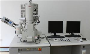 扫描电镜发展趋势 扫描电镜市场分析