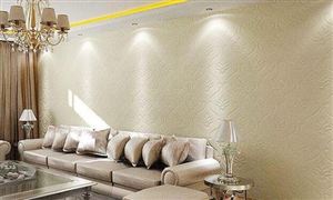 艺术涂料行业概况 艺术涂料市场调研报告