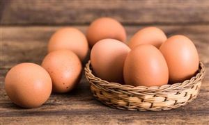 2022家禽蛋类行业发展现状及前景分析