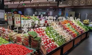 10月深圳鲜菜价格环比涨13.9% 中国绿色蔬菜发展市场供需及前景规划研究