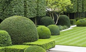 园林养护有前景吗 园林养护市场规模预测