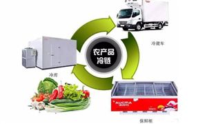 大连对种猪场私埋病死动物立案调查 农产品冷链物流行业深度解析