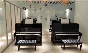 音乐培训市场发展现状 音乐培训行业调研报告