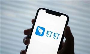 钉钉试行员工每月在家办公一天 全民对远程办公的热情和需求上涨