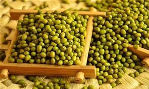 2022绿豆市场行情及发展前景分析